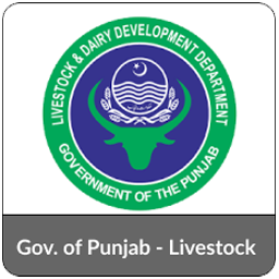 LDD - Gov Punjab